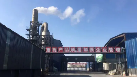 Quality Assurance Sodium Hydroxide CAS 1310-73-2